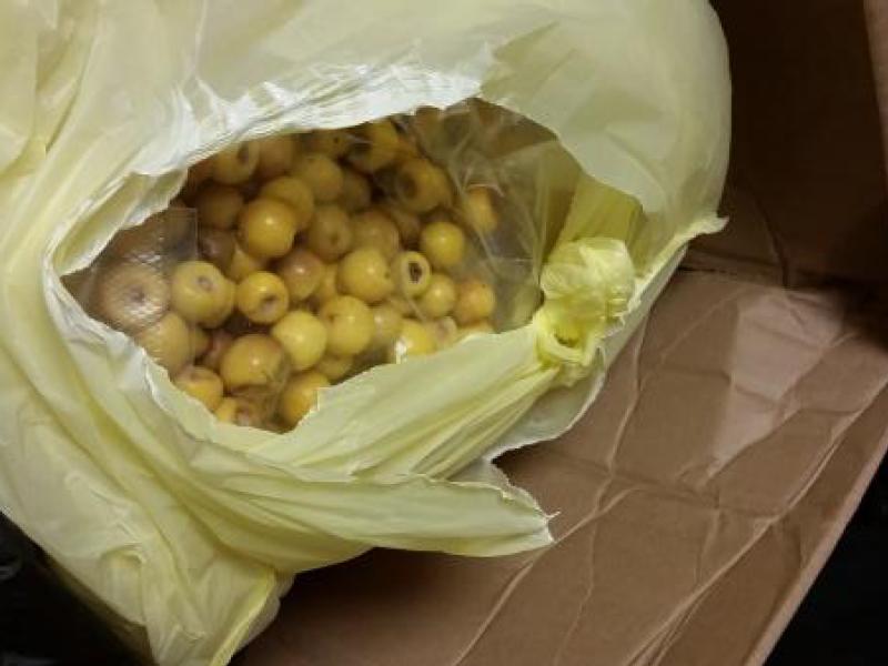 Cincinnati CBP Agriculture Finds Two Tons of Prohibited Fruit