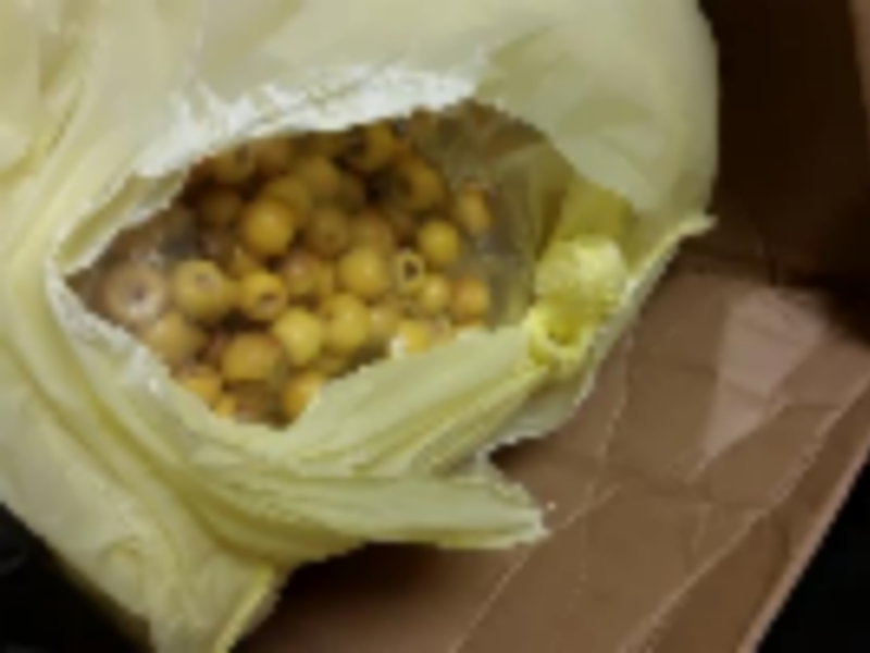 Cincinnati CBP Agriculture Finds Two Tons of Prohibited Fruit