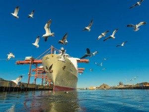 https://www.ajot.com/images/uploads/article/long-beach-birds-ship-cranes.jpg