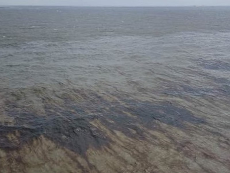 Oil spill off Louisiana coast shuts output from seven drillers