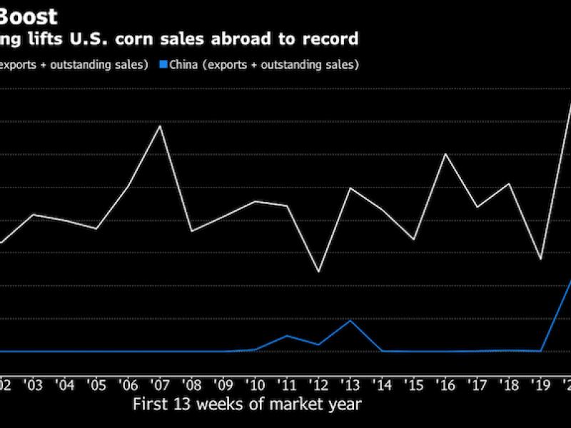 China-US farm ties are stronger and more tenuous than ever