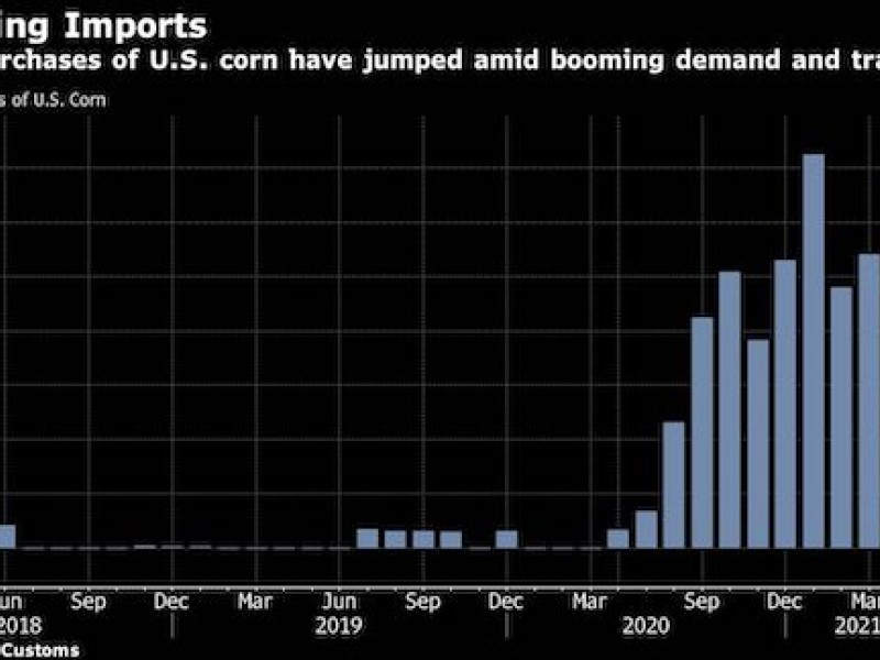 China’s scrutiny of corn imports spurs US cargo cancellations