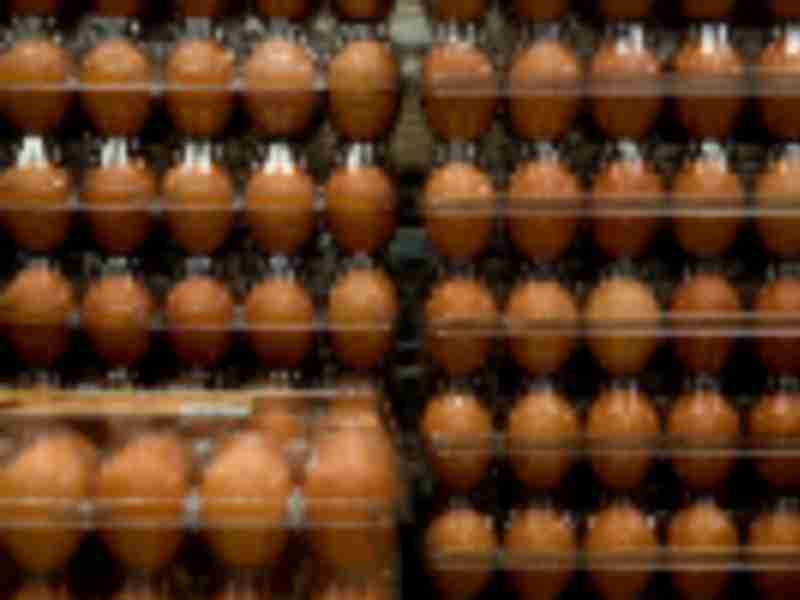 Egg cartons on backorder as packaging woes roil supply chain