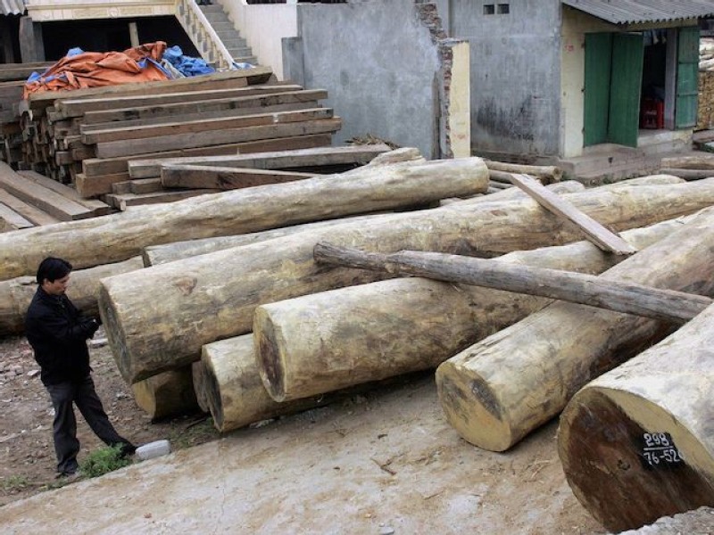 Vietnam tightens timber laws to ease US tariff threats
