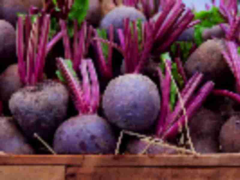 What do you do with 24 tons of beetroot stockpiled for Brexit?