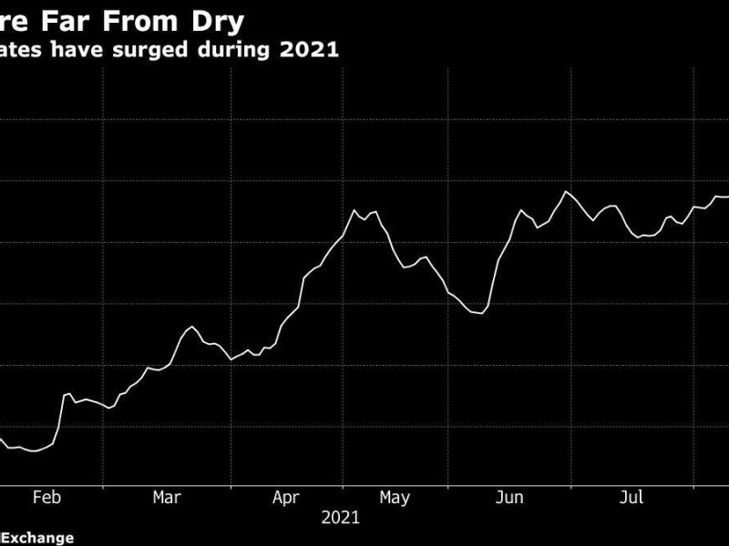 Dry bulk shipping rates are soaring and the rally looks set