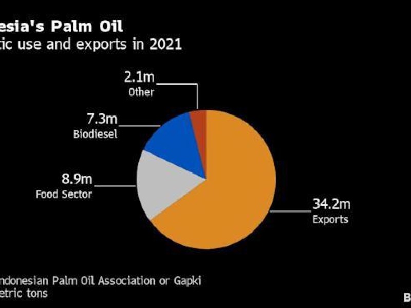 Indonesia lifts palm oil export ban in relief to global market