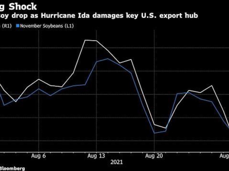 Corn crashes as Hurricane Ida devastates busiest US export hub