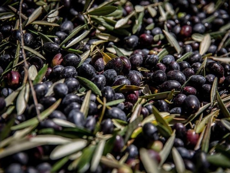 US backs down on Spanish olives to avert EU trade fight