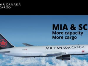 https://www.ajot.com/images/uploads/article/Air_Canada_Cargo_.png