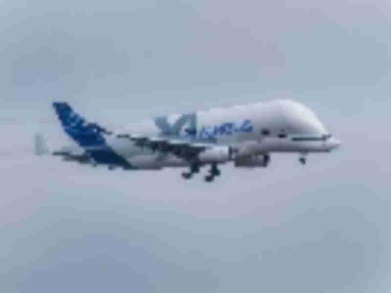 Airbus wins first third-party mission for giant Beluga cargo jet