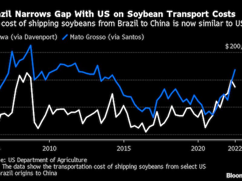 US is losing soybean-export edge as Brazil closes logistics gap