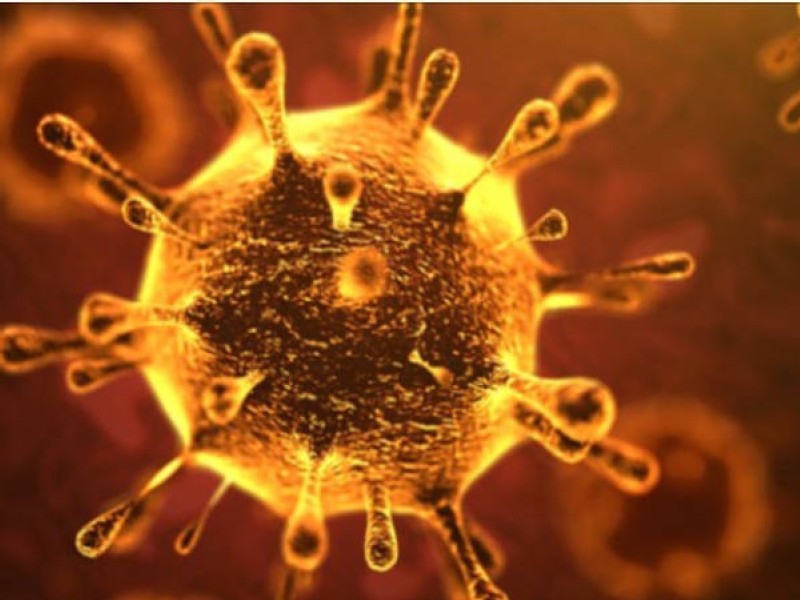 Despite Coronavirus, China’s recovery “inevitable”