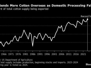 https://www.ajot.com/images/uploads/article/Cotton_export_chart.jpg