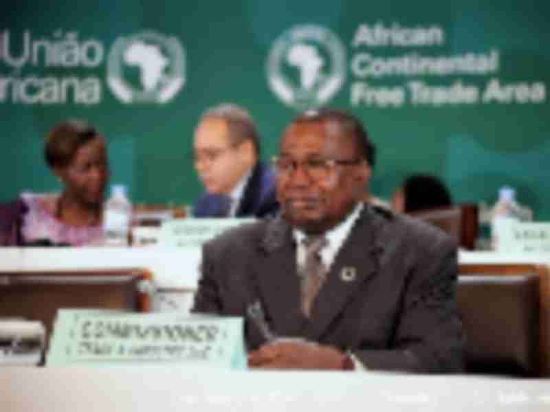 Africa wants one trade deal with the US, the US wants many