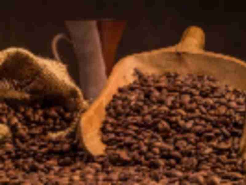 Vietnam’s 2021-22 Coffee Exports at 1.73M Tons, a 4-Year High