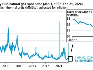 Henry Hub daily natural gas spot price fell to record lows in February