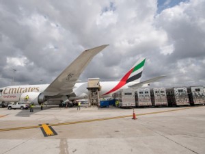 https://www.ajot.com/images/uploads/article/Emirates_SkyCargo_flew_close_to_100_horses_to_Miami.jpg