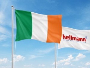 https://www.ajot.com/images/uploads/article/Flags__Ireland_Hellmann.jpg