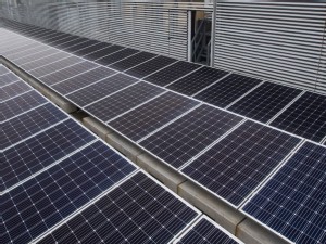 https://www.ajot.com/images/uploads/article/Hactl-Solar-Farm.jpg