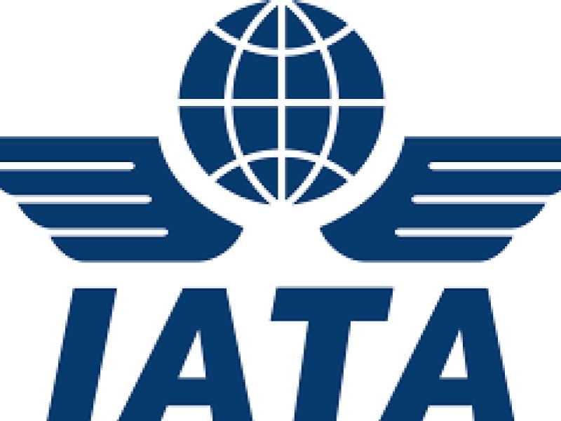 Airline group IATA warns no-deal Brexit will unleash chaos