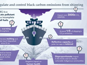 Progress made, but IMO fails to act on black carbon emissions, despite a direct pathway