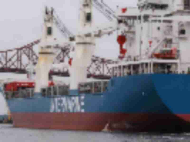 Intermarine enters into joint venture with Zeaborn Group