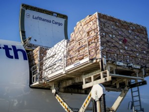 https://www.ajot.com/images/uploads/article/Lufthansa_cargo-loading-side.jpg