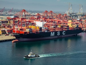 MSC PSS - scope: Import Indian Sub-continent to USA East Coast/ USA Gulf Coast / San Juan