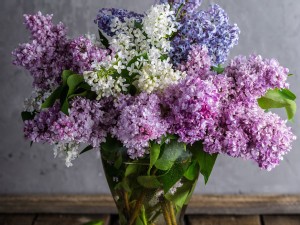 https://www.ajot.com/images/uploads/article/Mothers-Day-Flowers.jpg