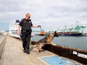 https://www.ajot.com/images/uploads/article/Port_Police_Bomb_Dog.jpg