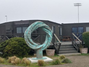 https://www.ajot.com/images/uploads/article/Sea_Remembrance_sculpture_at_IMC_2020.jpg