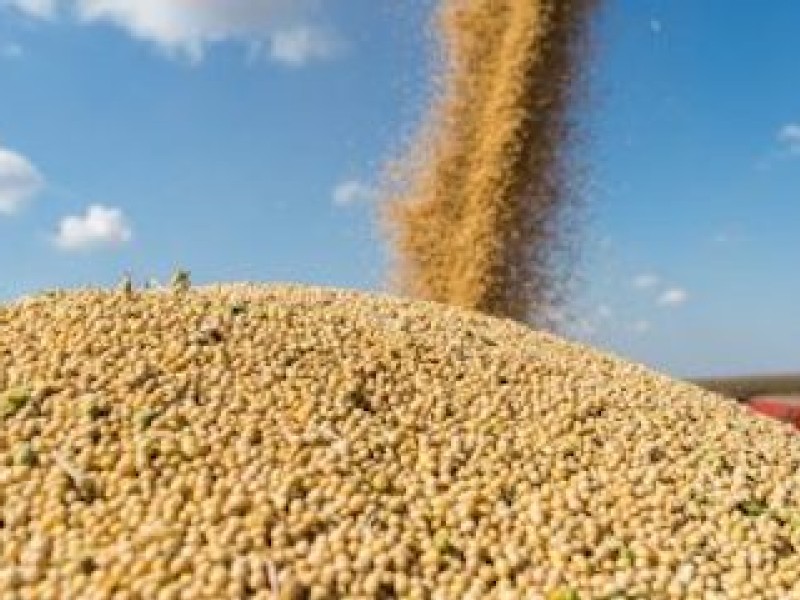 China ramps up Brazil soybean imports, rebuffing U.S. crops