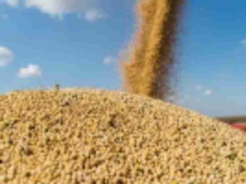China ramps up Brazil soybean imports, rebuffing U.S. crops
