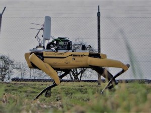 https://www.ajot.com/images/uploads/article/Spot_the_robot_patrols_HCA_Airport_perimeter_fencing..jpg