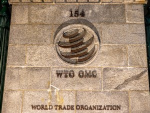 Some WTO members target major economies’ harmful green policies