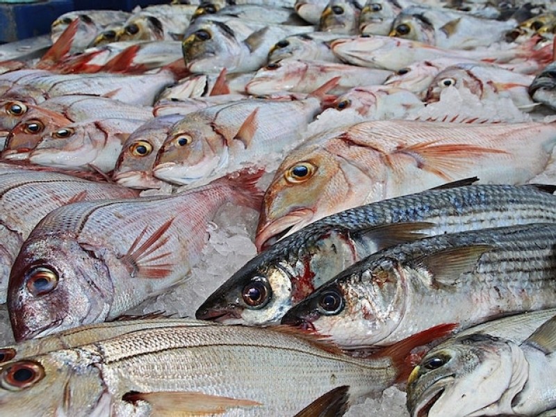 A once-promising global deal to prevent overfishing runs aground