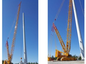 https://www.ajot.com/images/uploads/article/bolk-sweden-cranes-tall.jpg