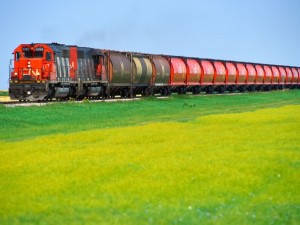 https://www.ajot.com/images/uploads/article/cn-grass-commodity-rail.jpg