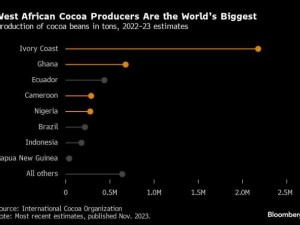 Chocolate and cosmetics face price jolt from cocoa supply chain law