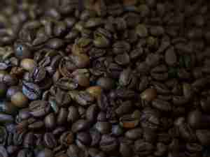 Ethiopia opens door for prized coffee exports to foreigners