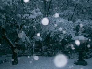 https://www.ajot.com/images/uploads/article/cold-winter-snow.jpg