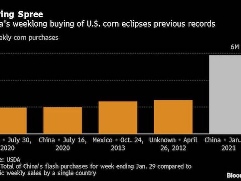 China set to exceed WTO quota in biggest US corn purchase