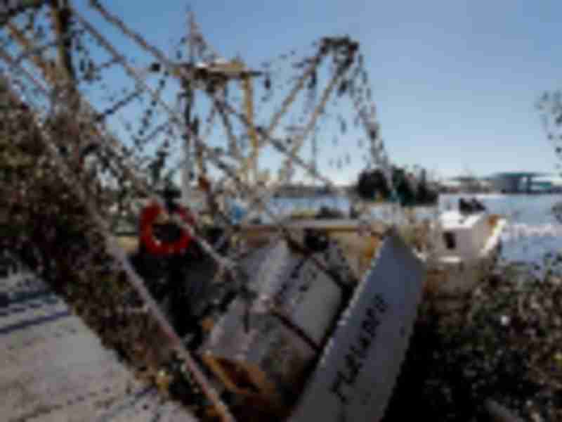 Hurricane Ian pummeled shrimp industry already hit by cheap imports