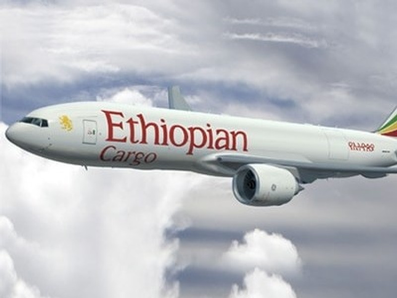 Ethiopian Airways expands cargo fleet to navigate Covid-19