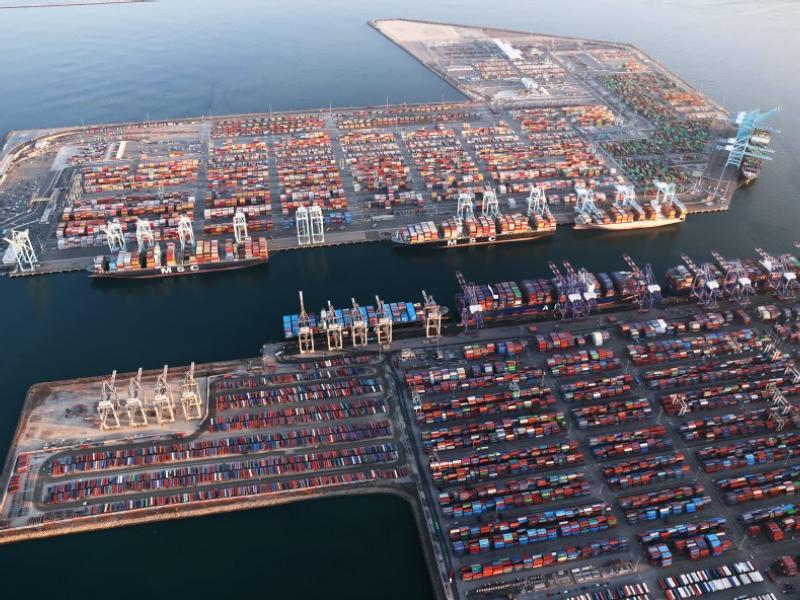 Dray Alliance: Shippers paid more than $114m in demurrage fees in  Feb and March 2022