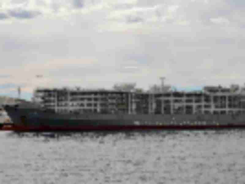 Capsized cattle ship renews live animal export concerns