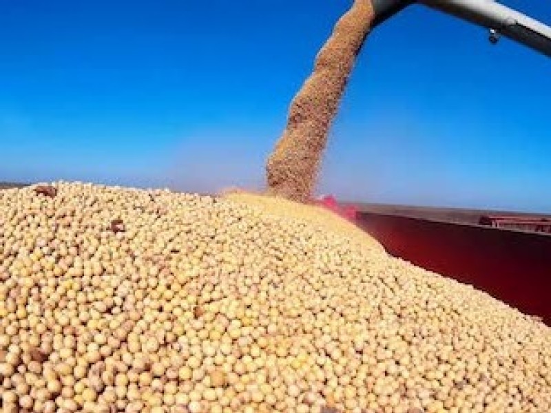 China approves new GMO soybeans in positive sign amid US talks
