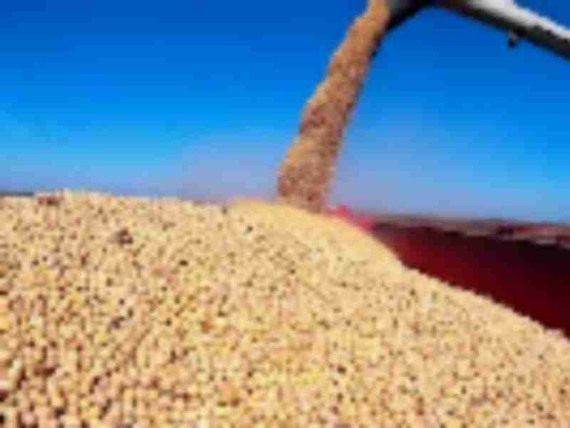 American soy farmers get boost from post-trade war export boom