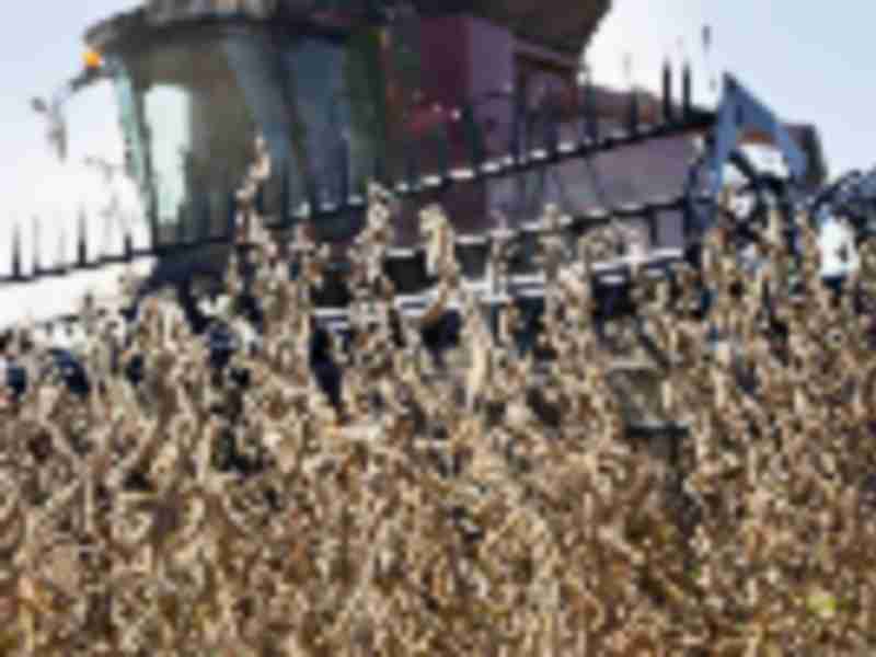 China buys up US corn, soybeans as Ukraine war roils trade